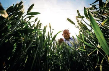 抓牢粮食和生物安全的中国钥匙1
