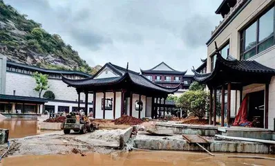 起底青山控股2