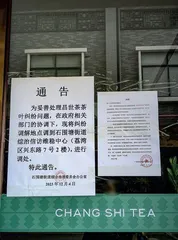 广州芳村“金融茶”崩盘始末2
