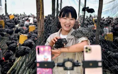 奋进新时代3