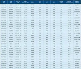 新能源造富神话:亿万富豪的炼成之路1