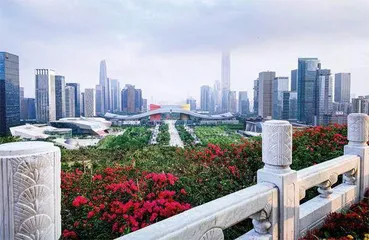 深圳创新后劲