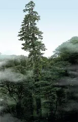 2022影像21