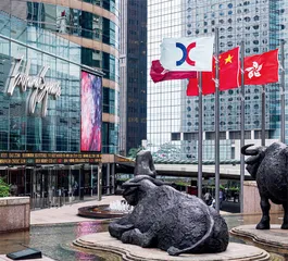 蔡洪平:内地企业赴港上市风云1