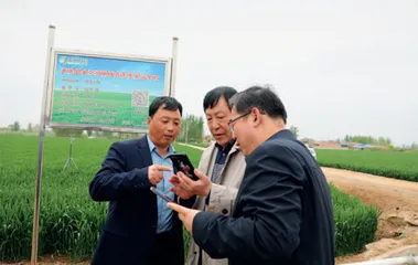 探索农业的新型规模化之路