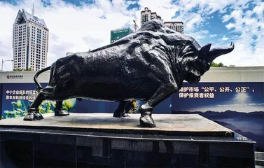 中国资本市场：破茧而飞