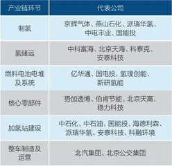 氢能落地乘用车,但市场机会没那么大1