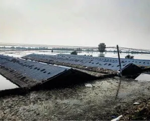 河南水灾大考粮食安全2