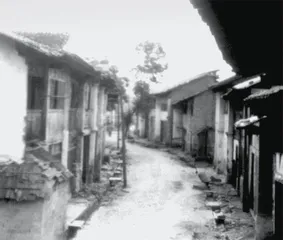 第一章 人民币前传:破旧立新的红色货币11