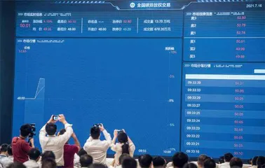全国碳市场首例数据造假案警示录1