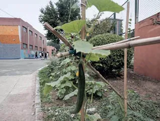 刘长铭:教育要跟学生“谈人生”4