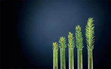 A股碳中和狂想曲