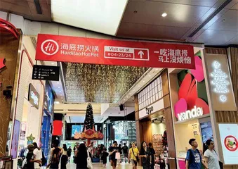 新中餐出海：批量输出“中国味”1