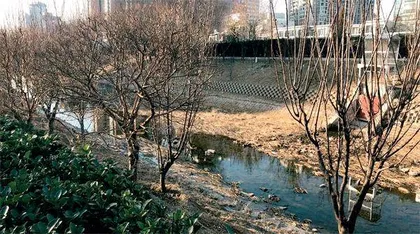 焕新亮马河:为了城市和市民1