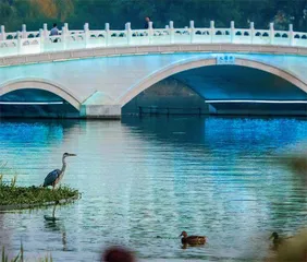 焕新亮马河:为了城市和市民6