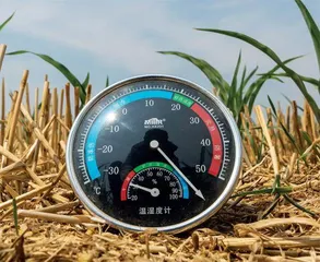 河南应“烤”:“十年都没这样旱过”5