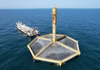 深海养殖:昂贵的“蓝色粮仓”?2