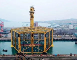 深海养殖:昂贵的“蓝色粮仓”?3