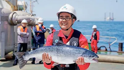 深海养殖:昂贵的“蓝色粮仓”?4