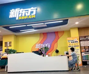 培训下一步,寻找新增长6