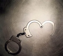 最高检：轻罪治理已是时代课题