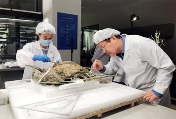 王巍:中国考古要见众生1