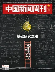 基础研究:房间里的大象到底是什么?1