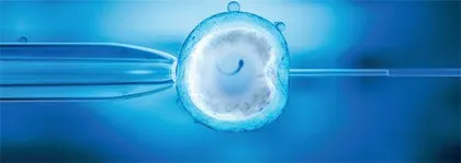 首个人类胚胎模型意味着什么？