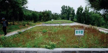 沂水殡葬改革背后1