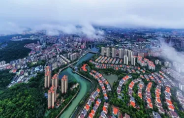 东莞凤岗：砥砺奋进迎蝶变 蓄势腾飞正当时