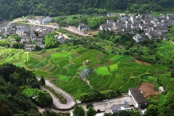 雁荡山：深度探寻自然奇观与人文底蕴