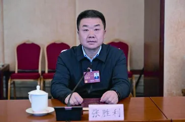 问道·强国之路丛书