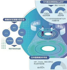 国产高端ERP突破“西方规则”