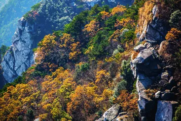 匡庐天下秀 浮云滚山峦1