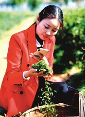 王秀梅：“茶姑娘”变身产业“全能手”