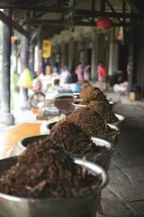 绍兴“三乌”2