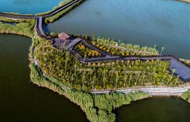 “引湿地入园”打造黄骅生态城市1