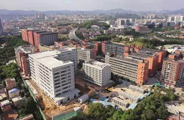 东莞市凤岗竹塘村：聚焦“百千万工程”共绘发展新图景