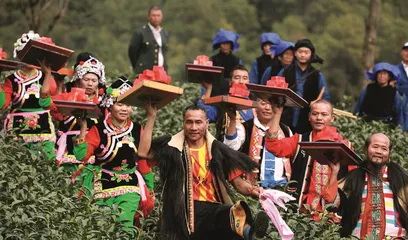 冬季赏花胜地——无量山樱花谷3