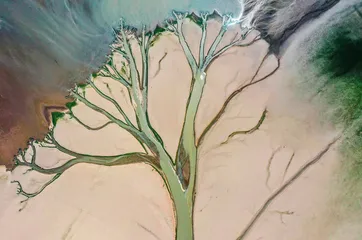 候鸟天堂鄱阳湖5