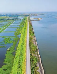 候鸟天堂鄱阳湖6