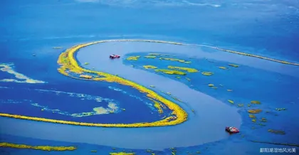 候鸟天堂鄱阳湖8