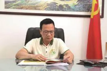 东莞茶山镇上元村：党建引领绘就和美乡村新画卷