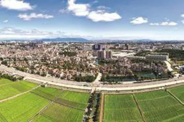 东莞茶山镇上元村：党建引领绘就和美乡村新画卷2