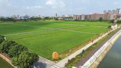 东莞茶山镇上元村：党建引领绘就和美乡村新画卷3
