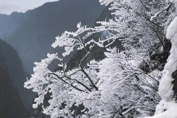 峨眉天下秀 清音望幽情