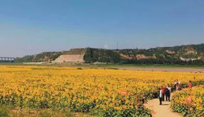 陕州区：完善水利设施 确保饮水安全2