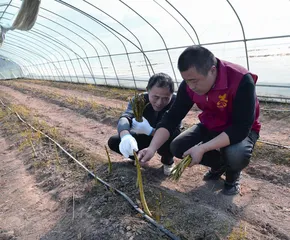 陈平平：守护乡村八年整 真心换来十里情