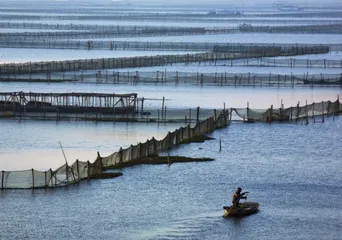 走进“东方水城”，探寻苏州之美6