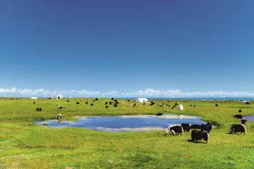 青海湖之美：“高原明珠”的璀璨与深邃3